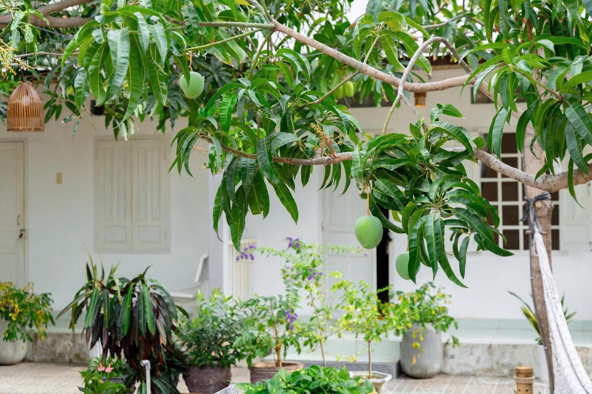 Binhyen Homestay Mũi Né Exterior foto